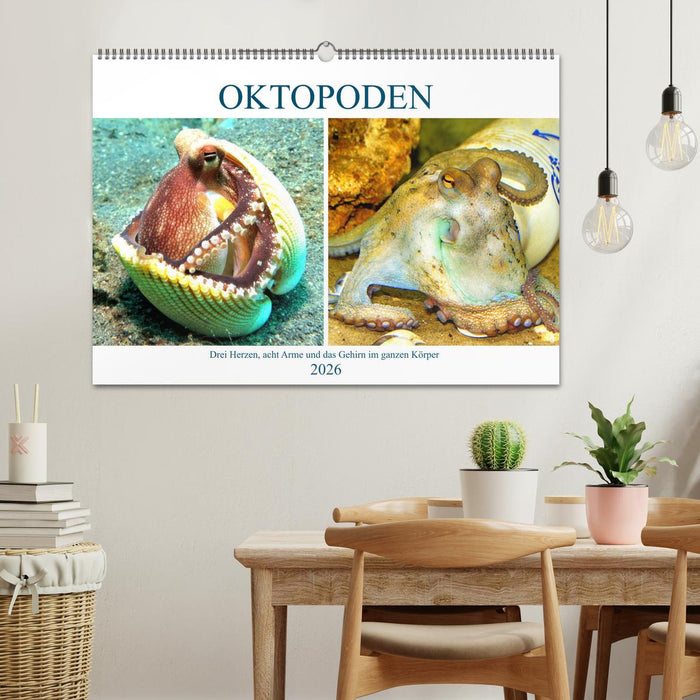 Oktopoden. Drei Herzen, acht Arme und das Gehirn im ganzen Körper (CALVENDO Wandkalender 2026)