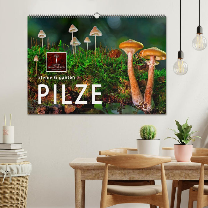 Pilze - kleine Giganten (CALVENDO Wandkalender 2026)