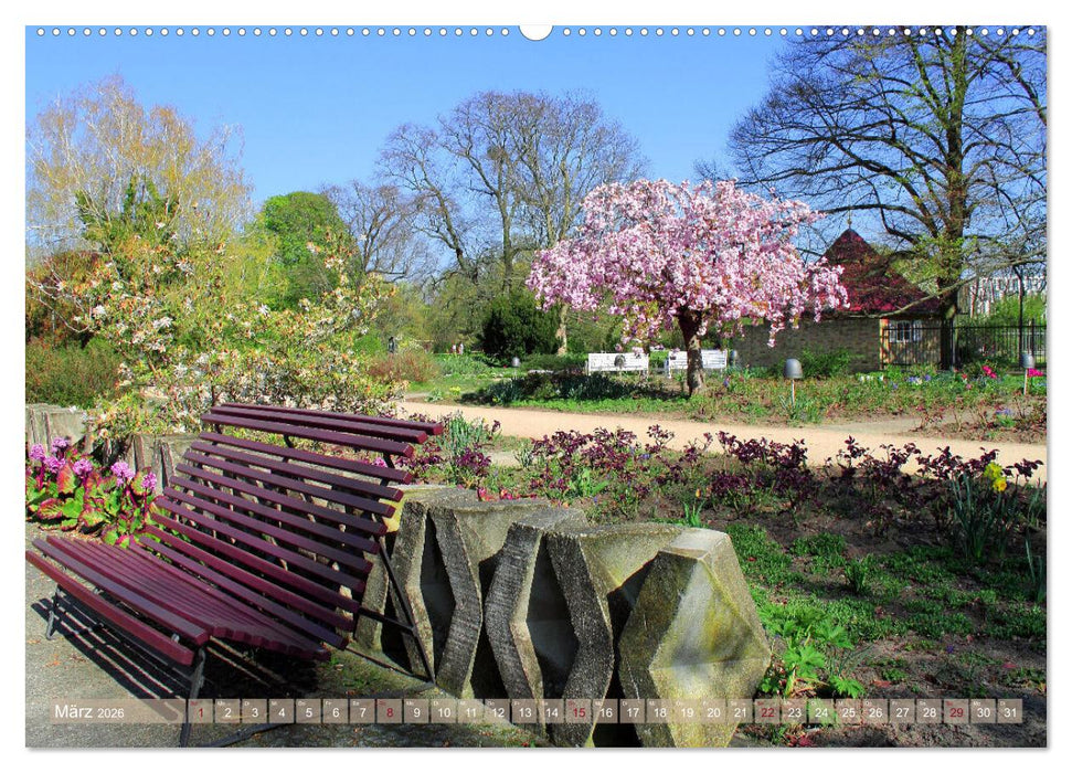 Potsdam an der Havel (CALVENDO Wandkalender 2026)