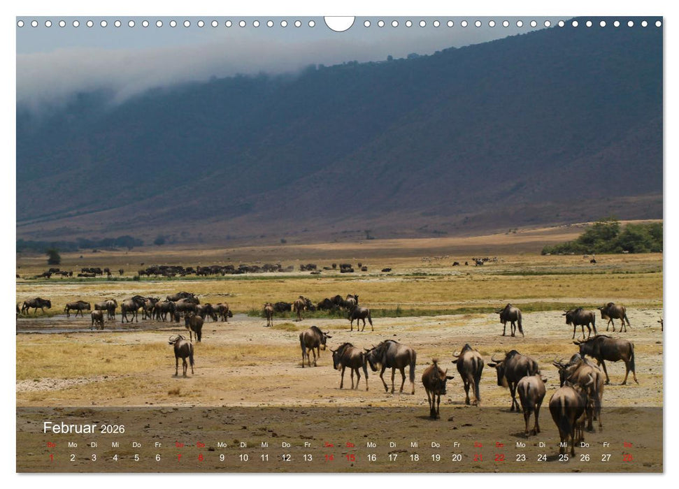 Ostafrika - Tansania und Kenia hautnah (CALVENDO Wandkalender 2026)