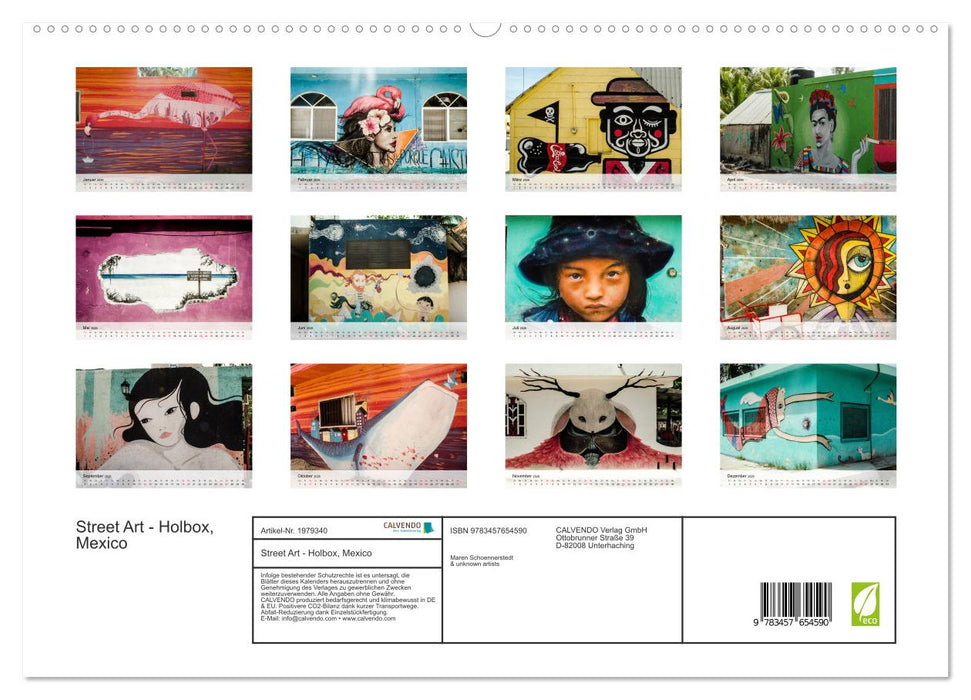 Street Art - Holbox, Mexico (CALVENDO Premium Wandkalender 2026)