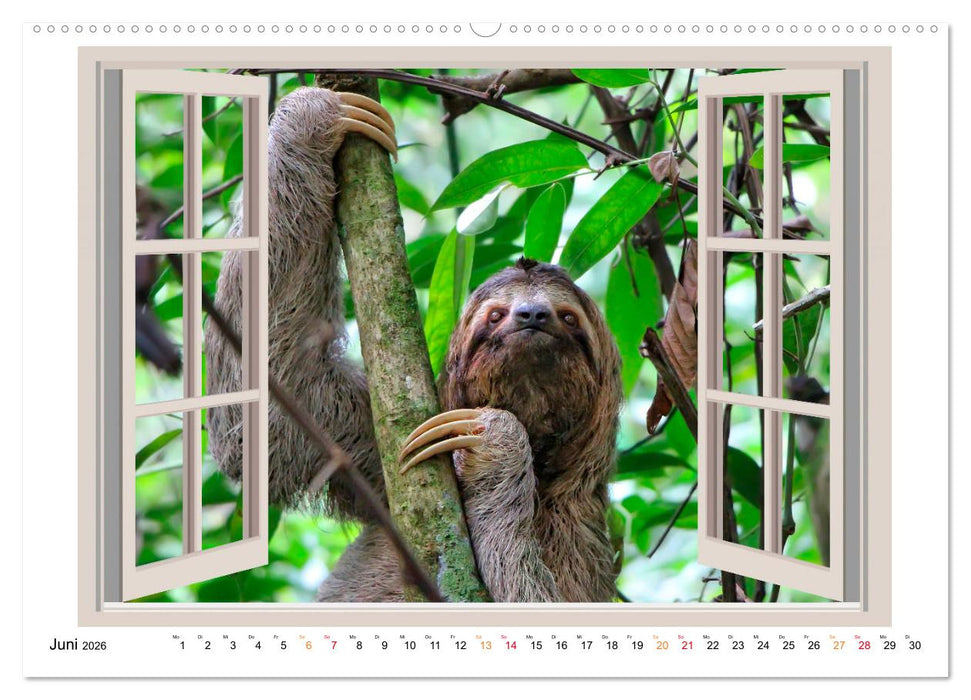 Fenstergucker - tierische Freunde an der Wand (CALVENDO Premium Wandkalender 2026)