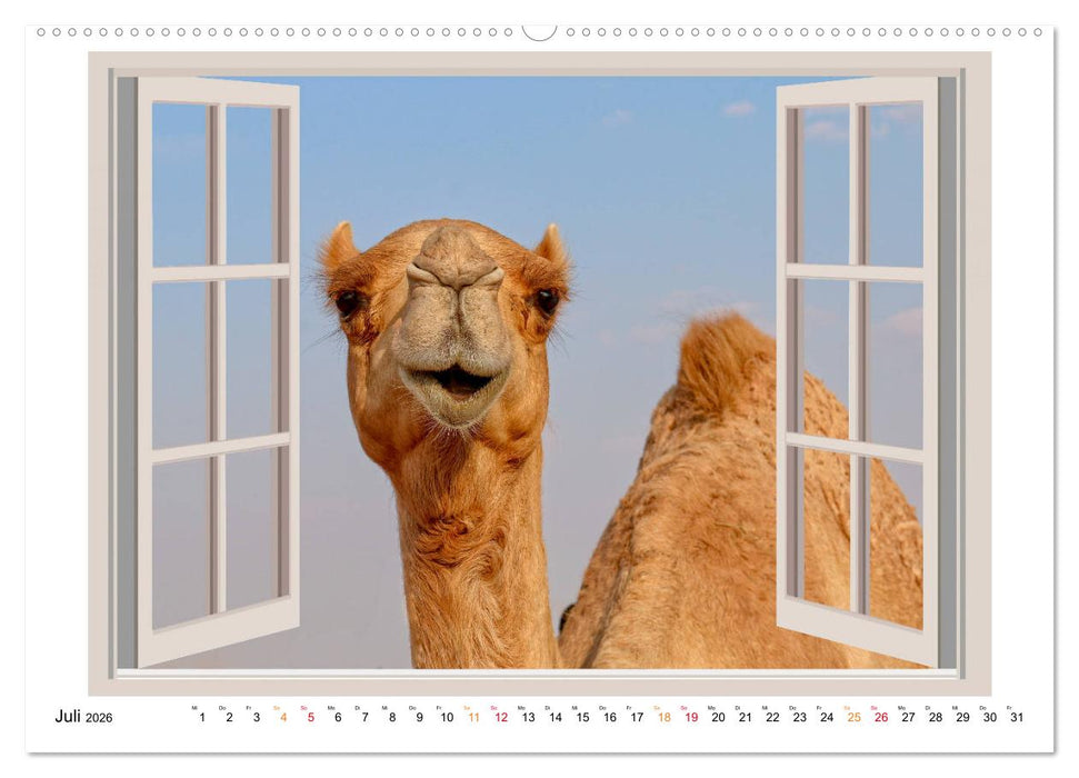 Fenstergucker - tierische Freunde an der Wand (CALVENDO Premium Wandkalender 2026)