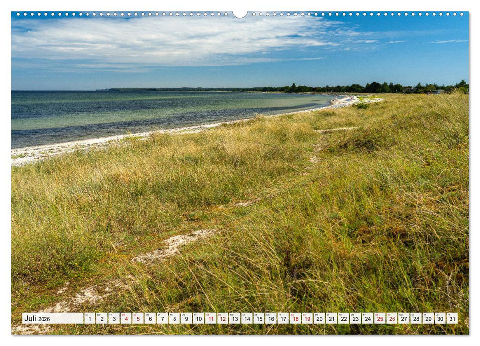 Dänemark - Insel Mön (CALVENDO Premium Wandkalender 2026)