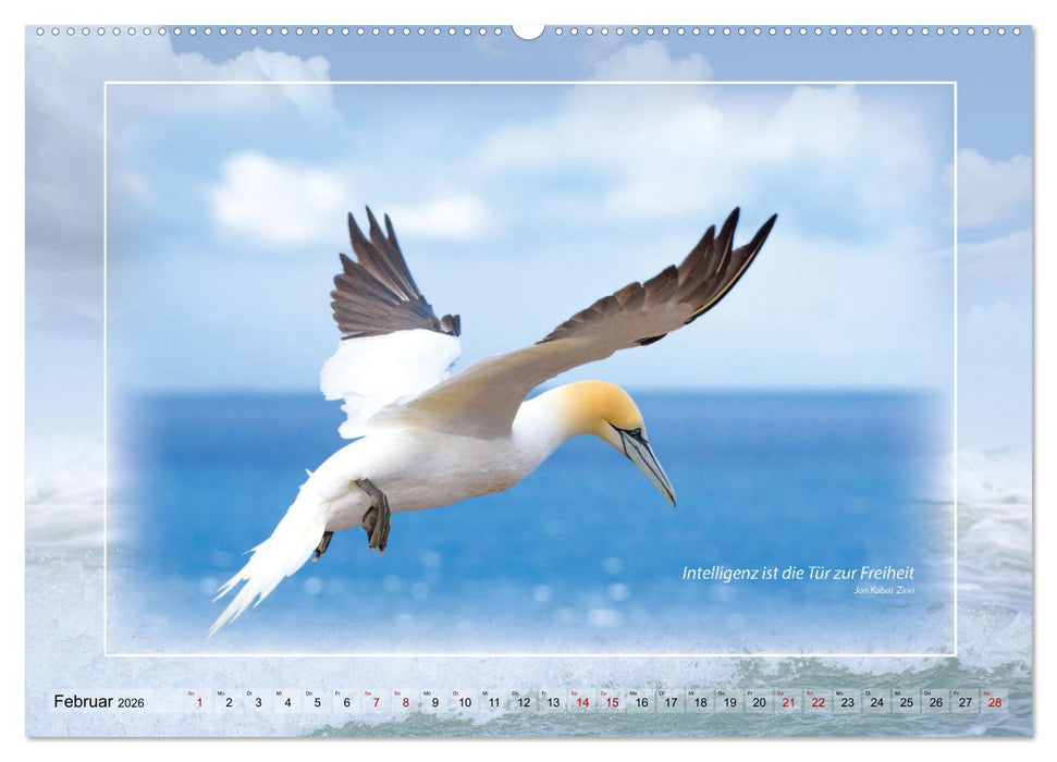 Insel Gedanken (CALVENDO Premium Wandkalender 2026)