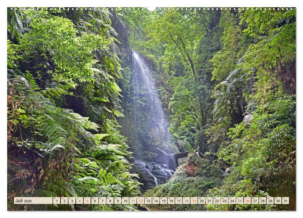 Magic Moments - LA PALMA (CALVENDO Premium Wandkalender 2026)