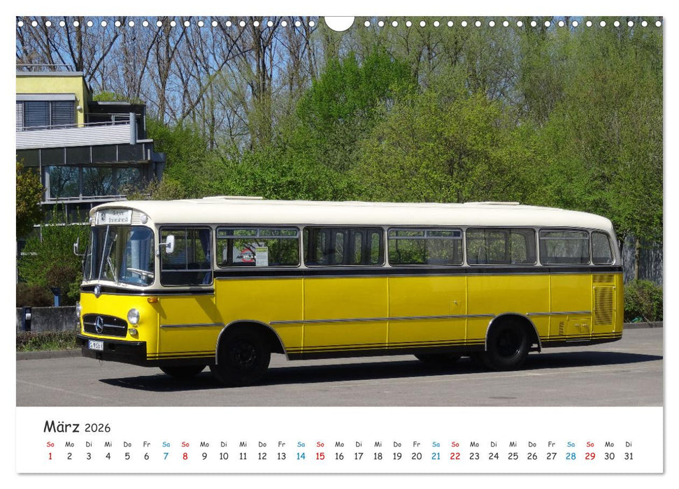Omnibusse von heute und früher (CALVENDO Wandkalender 2026)