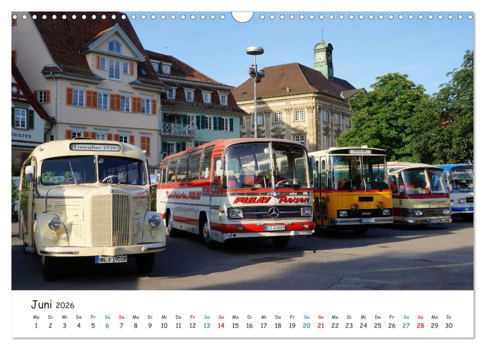 Omnibusse von heute und früher (CALVENDO Wandkalender 2026)