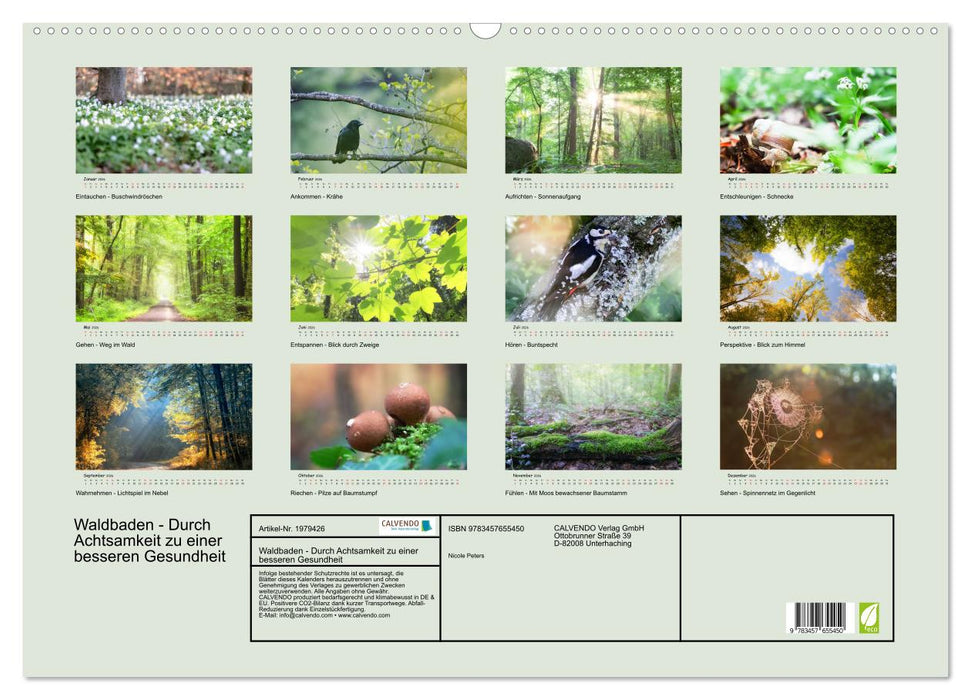 Waldbaden - Durch Achtsamkeit zu einer besseren Gesundheit (CALVENDO Wandkalender 2026)