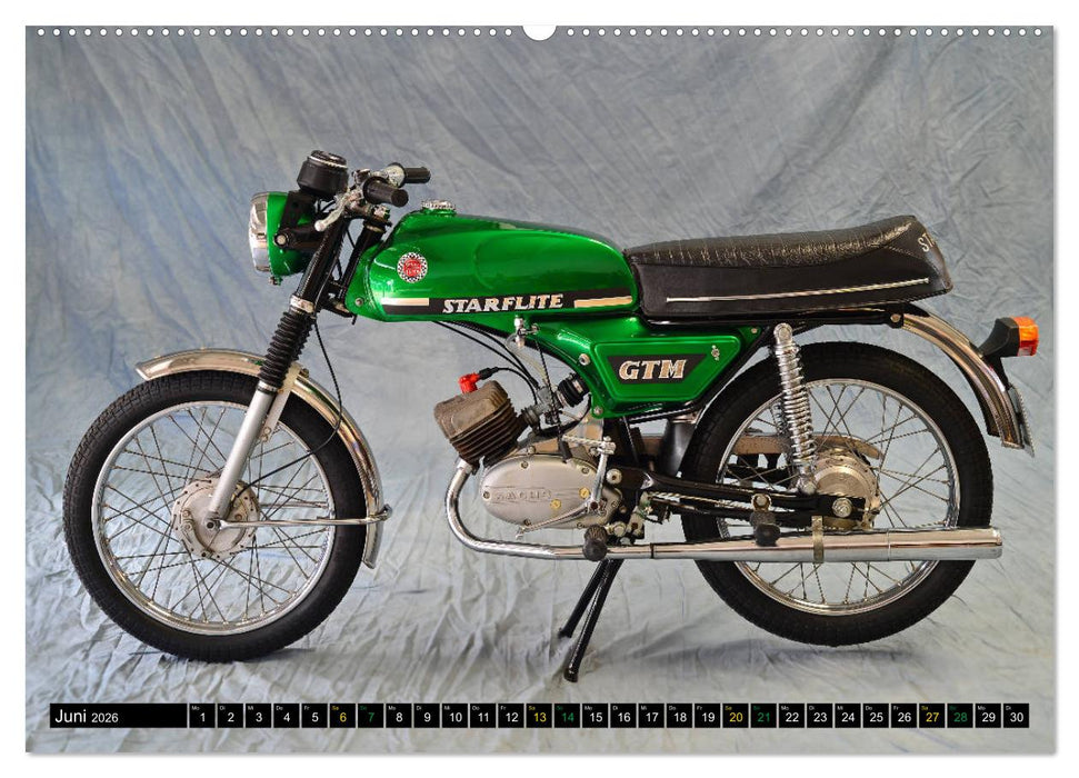 Mein Moped Kalender (CALVENDO Premium Wandkalender 2026)