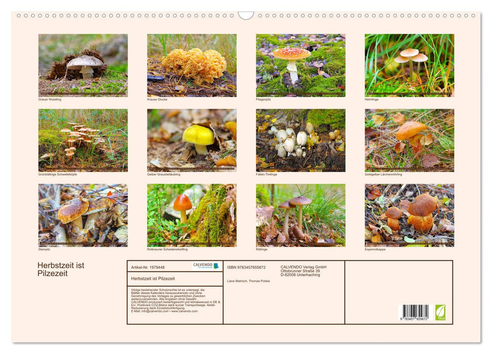 Herbstzeit ist Pilzezeit (CALVENDO Wandkalender 2026)