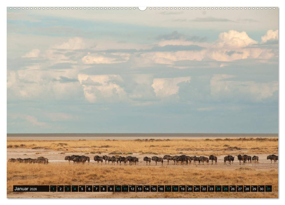 Namibia-Land der Sehnsucht (CALVENDO Premium Wandkalender 2026)