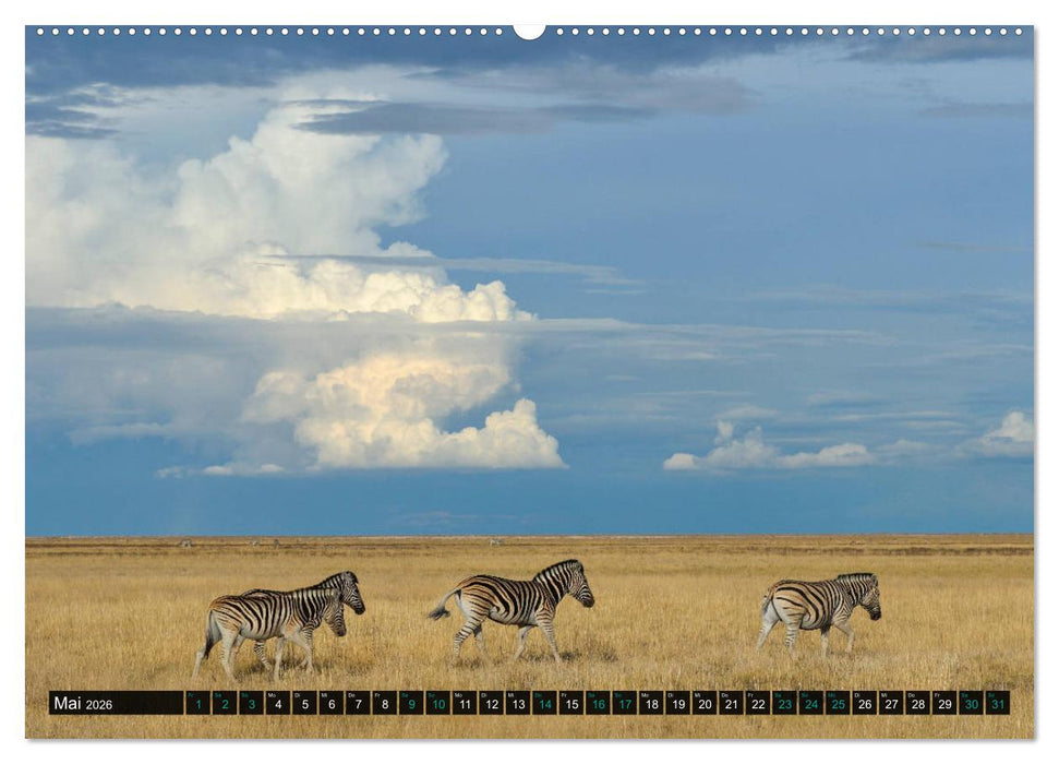 Namibia-Land der Sehnsucht (CALVENDO Premium Wandkalender 2026)
