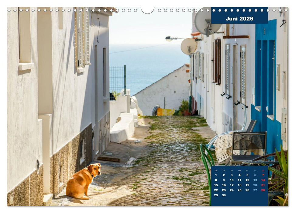 Portugal - Entlang der Küsten des Südens (CALVENDO Wandkalender 2026)