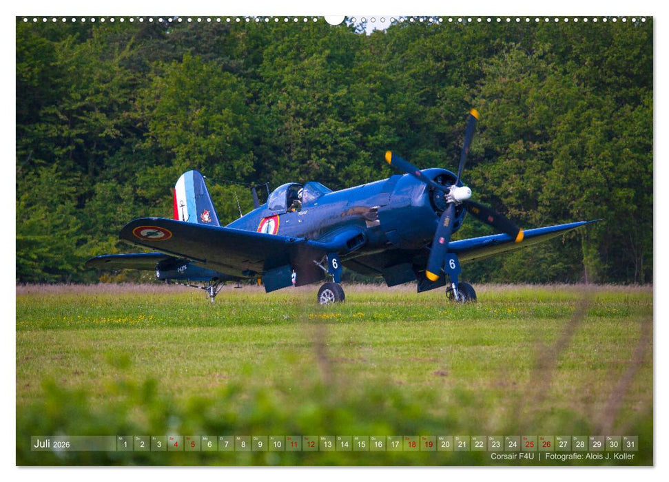 Classic Airplanes (CALVENDO Premium Wandkalender 2026)