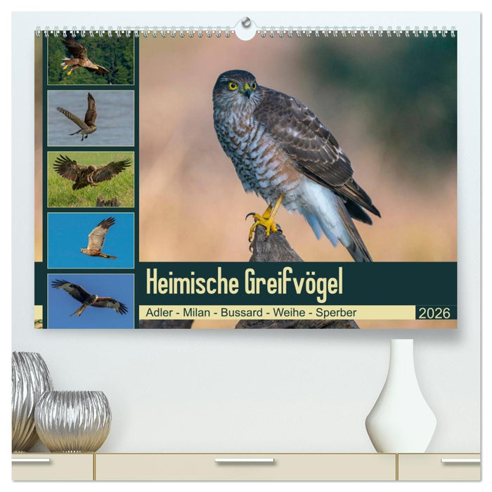 Heimische GREIFVÖGEL Adler Milan Bussard Weihe Sperber (CALVENDO Premium Wandkalender 2026)