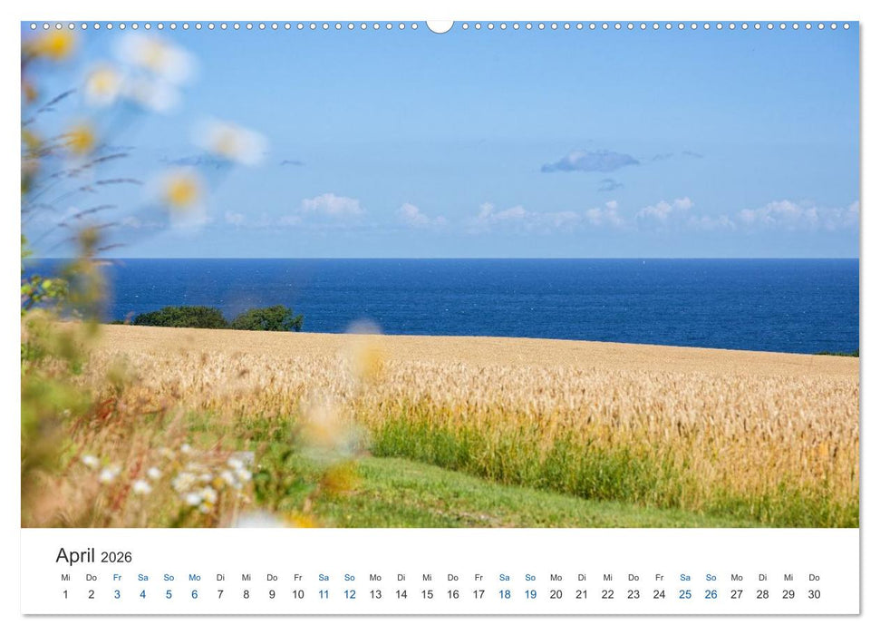 Bornholm - die Küsten der Ostseeinsel (CALVENDO Premium Wandkalender 2026)