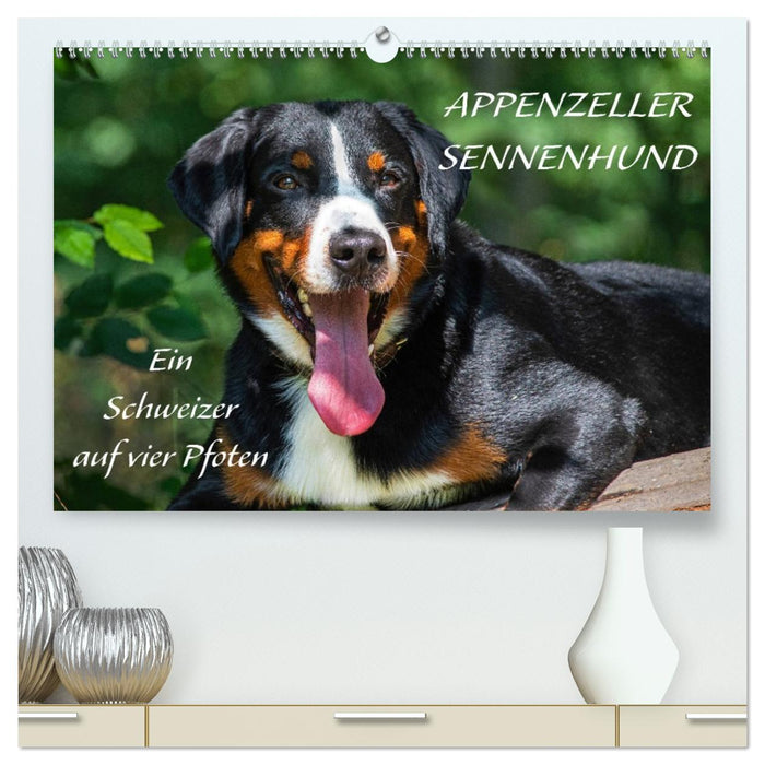Appenzeller Sennenhund - Ein Schweizer auf 4 Pfoten (CALVENDO Premium Wandkalender 2026)