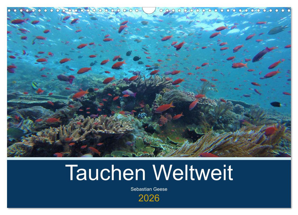 Tauchplätze Weltweit (CALVENDO Wandkalender 2026)