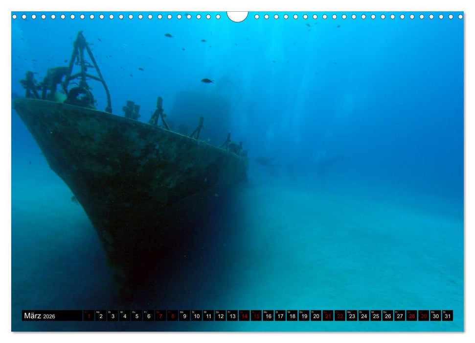 Tauchplätze Weltweit (CALVENDO Wandkalender 2026)
