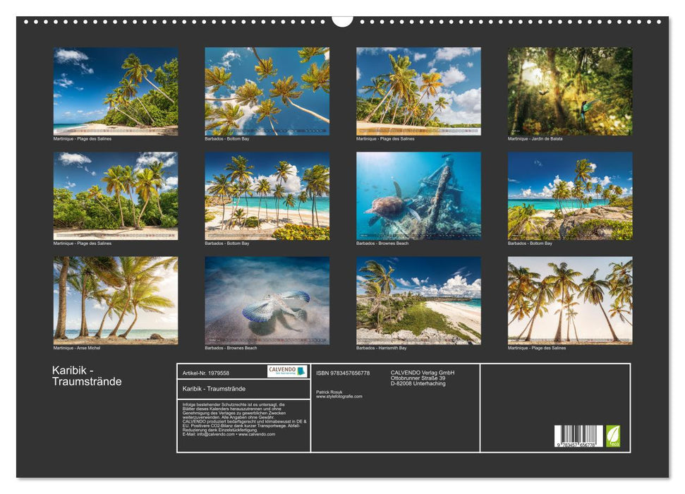 Karibik - Traumstrände (CALVENDO Wandkalender 2026)