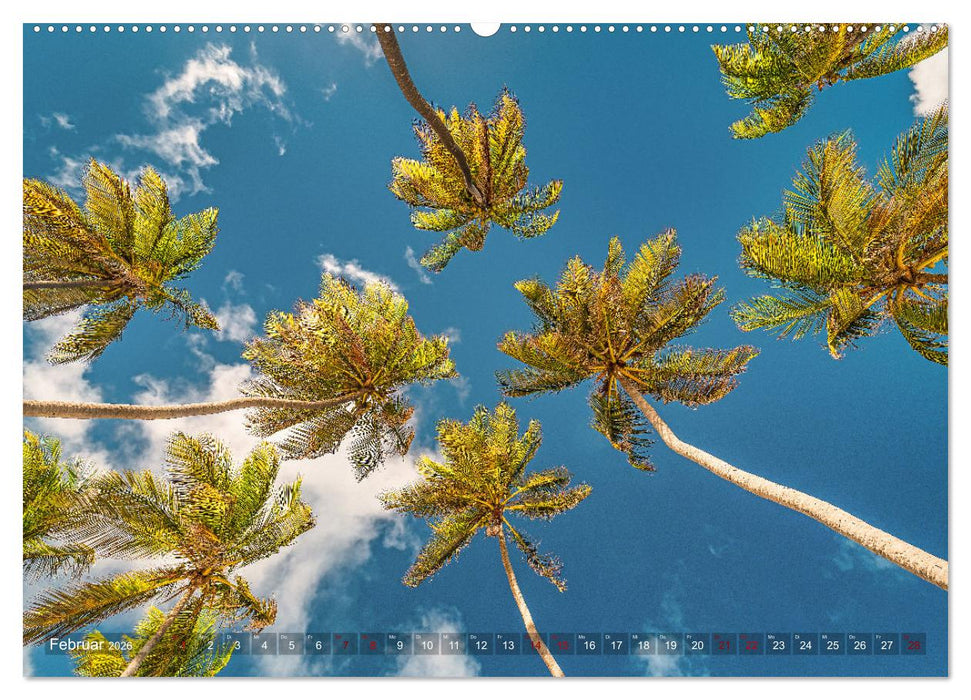 Karibik - Traumstrände (CALVENDO Wandkalender 2026)