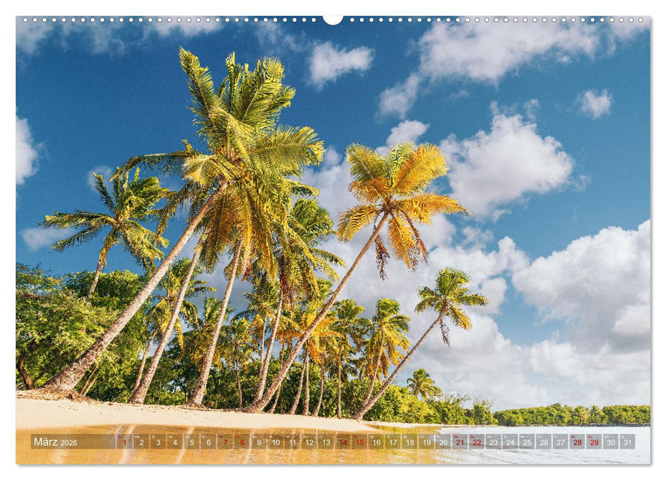 Karibik - Traumstrände (CALVENDO Wandkalender 2026)