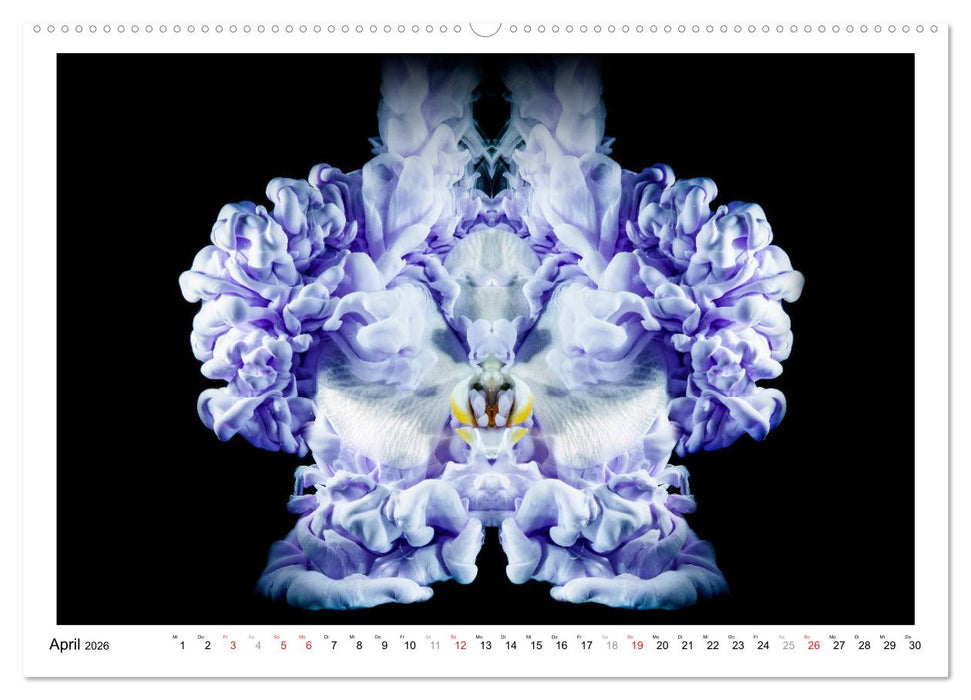 Farbexplosionen (CALVENDO Premium Wandkalender 2026)