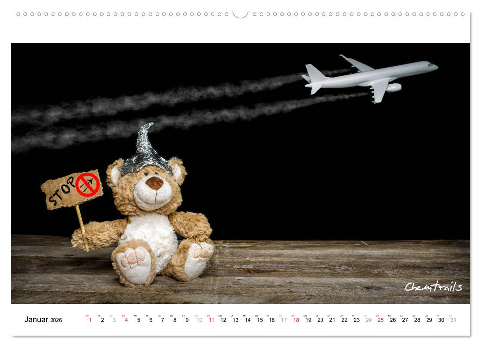 Verschwörungs - und andere Theorien (CALVENDO Premium Wandkalender 2026)