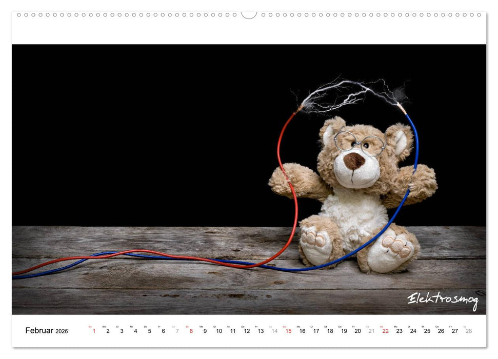 Verschwörungs - und andere Theorien (CALVENDO Premium Wandkalender 2026)