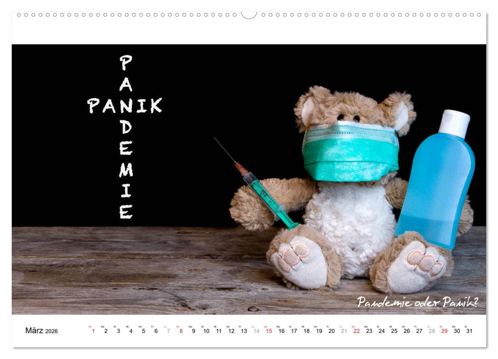 Verschwörungs - und andere Theorien (CALVENDO Premium Wandkalender 2026)