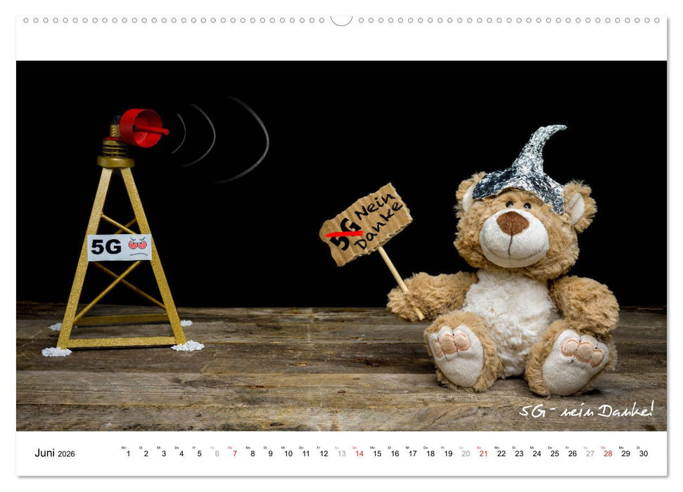 Verschwörungs - und andere Theorien (CALVENDO Premium Wandkalender 2026)