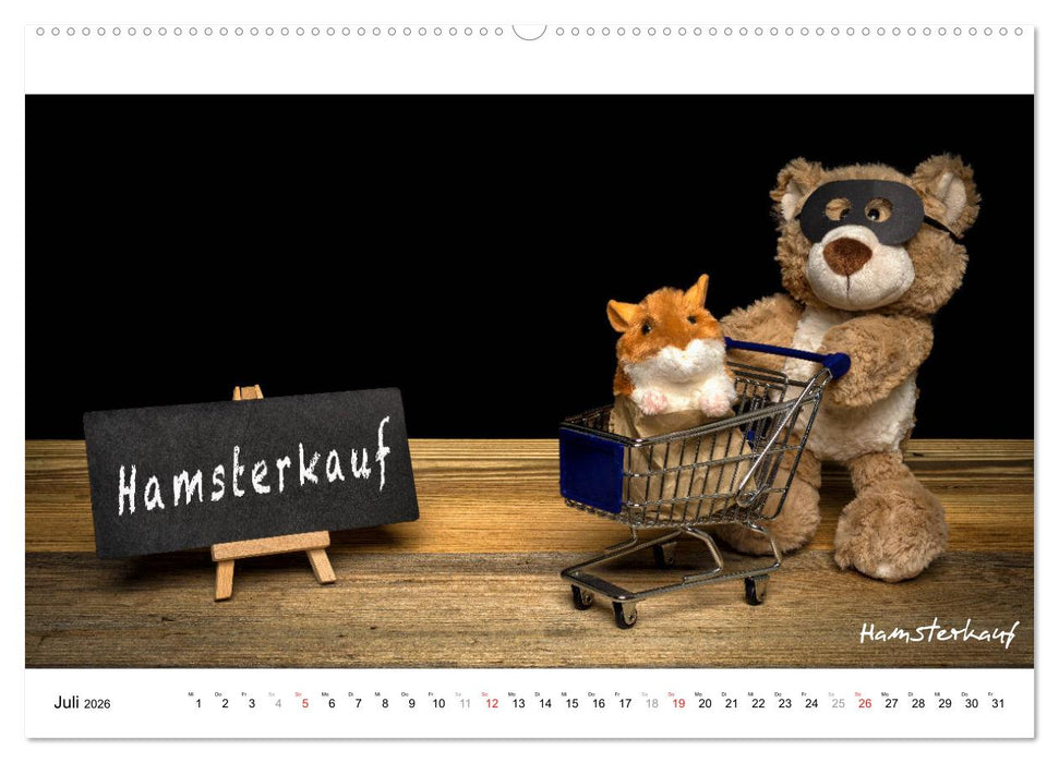 Verschwörungs - und andere Theorien (CALVENDO Premium Wandkalender 2026)