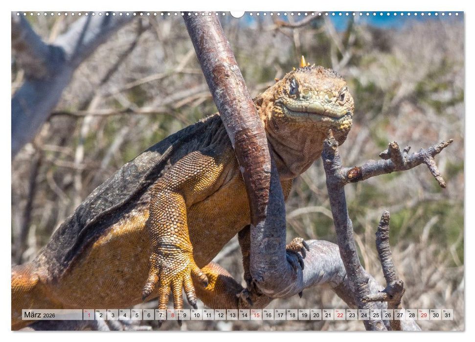 Ecuador - Impessionen (CALVENDO Premium Wandkalender 2026)