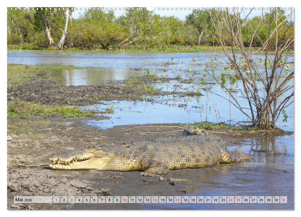 Australien - Kontraste (CALVENDO Premium Wandkalender 2026)
