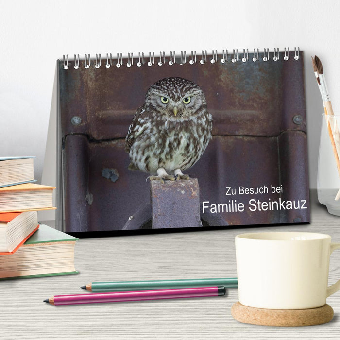 Zu Besuch bei Familie Steinkauz (CALVENDO Wandkalender 2026)