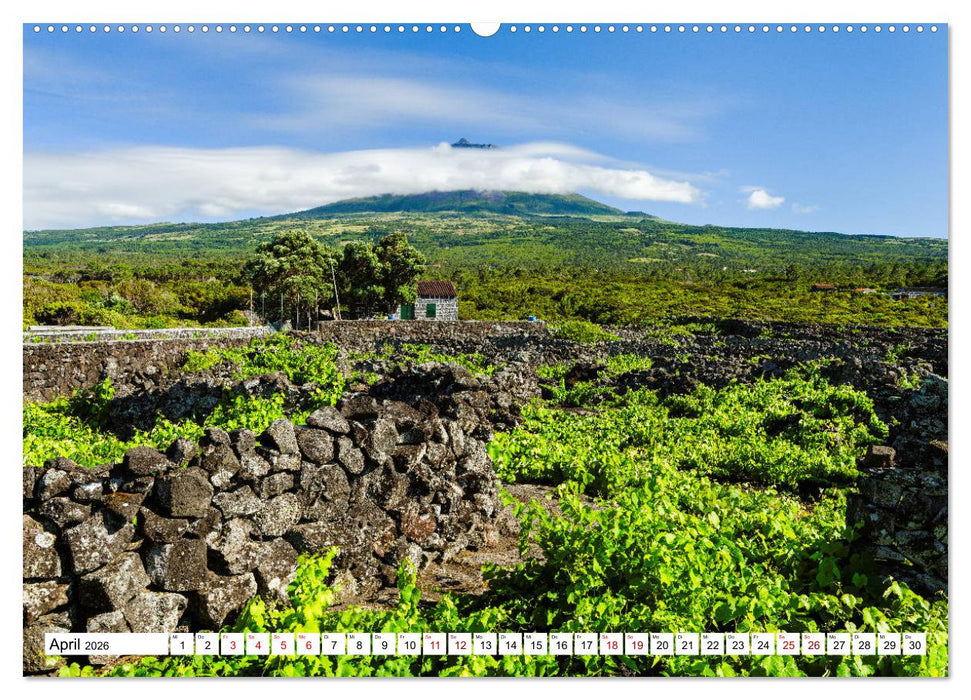 Azoren - das Triangulo der Zentralgruppe (CALVENDO Premium Wandkalender 2026)