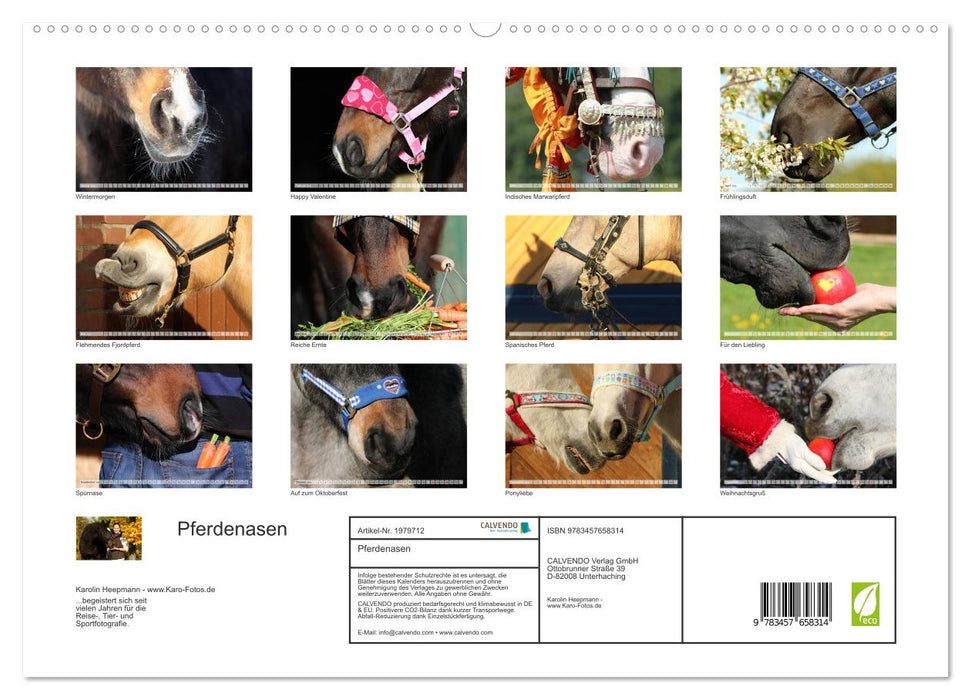 Pferdenasen (CALVENDO Premium Wandkalender 2026)