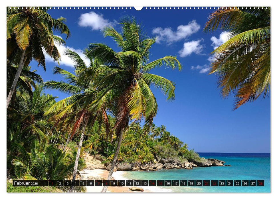 Inselwelt Karibik (CALVENDO Premium Wandkalender 2026)
