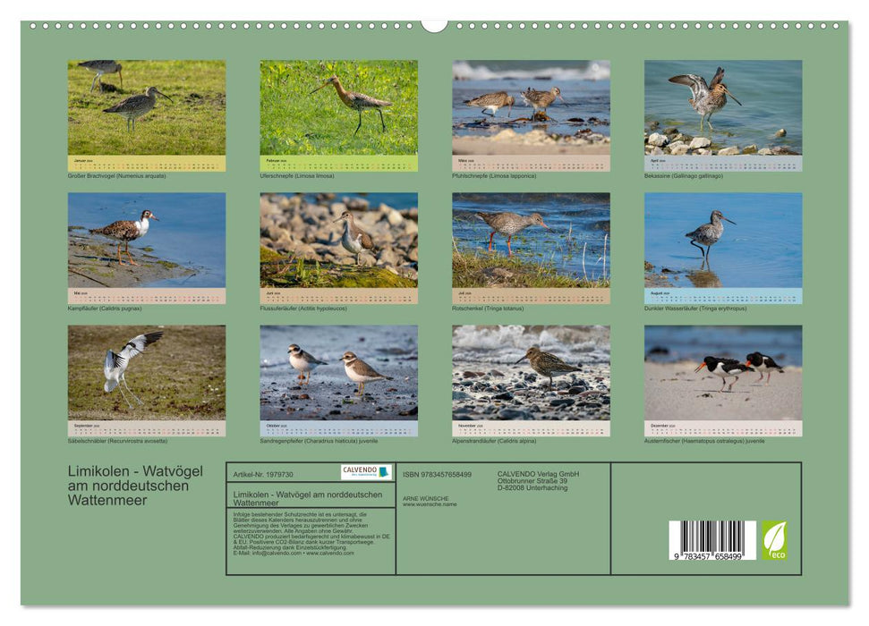 Limikolen - Watvögel am norddeutschen Wattenmeer (CALVENDO Premium Wandkalender 2026)