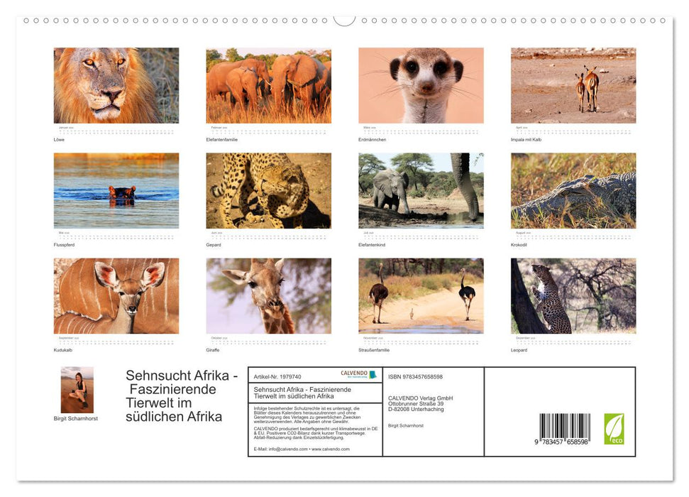 Sehnsucht Afrika - Faszinierende Tierwelt im südlichen Afrika (CALVENDO Premium Wandkalender 2026)