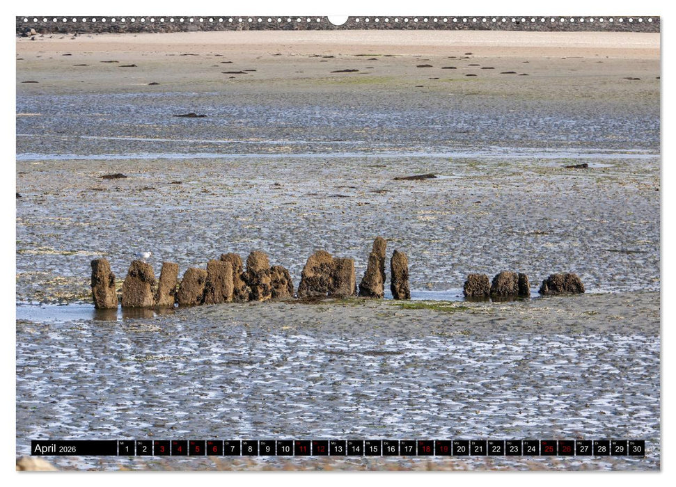 Magische Orte in Irland (CALVENDO Wandkalender 2026)