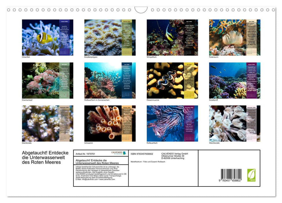 Abgetaucht! Entdecke die Unterwasserwelt des Roten Meeres (CALVENDO Wandkalender 2026)