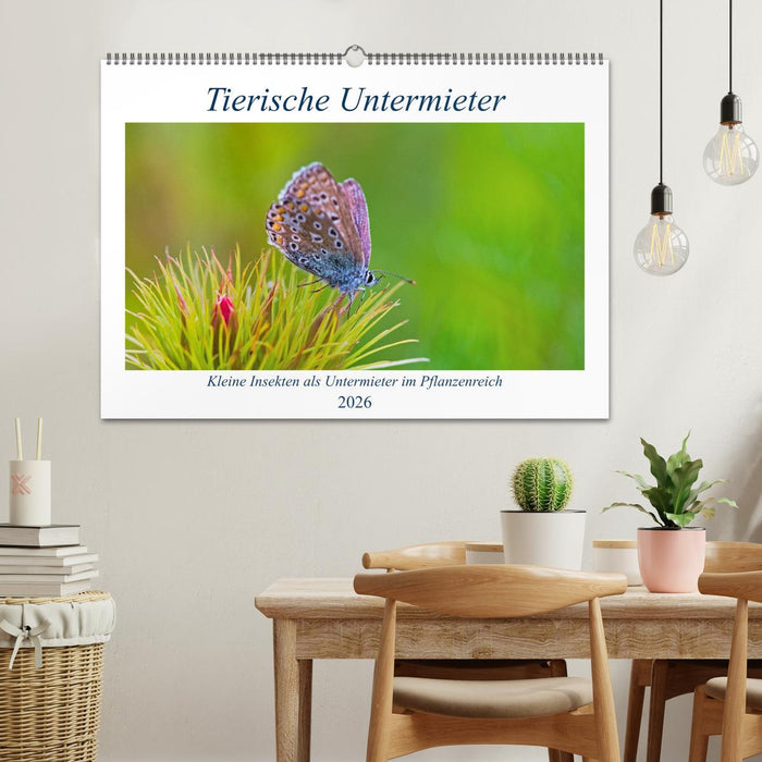 Tierische Untermieter (CALVENDO Wandkalender 2026)