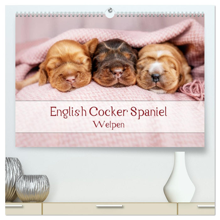 English Cocker Spaniel Welpen (CALVENDO Premium Wandkalender 2026)