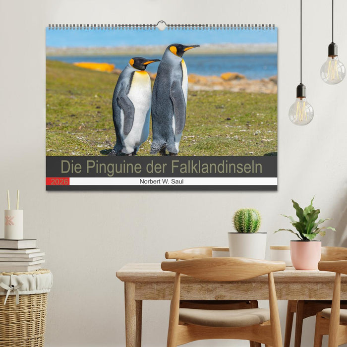 Die Pinguine der Falklandinseln (CALVENDO Wandkalender 2026)