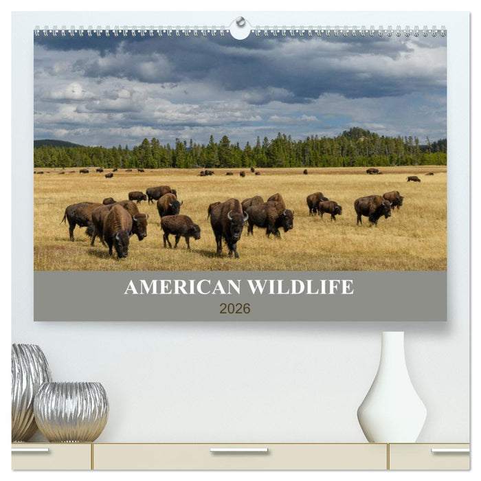 American Wildlife (CALVENDO Premium Wandkalender 2026)