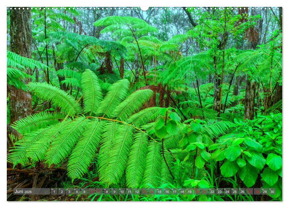 Nationalparks der USA (CALVENDO Premium Wandkalender 2026)