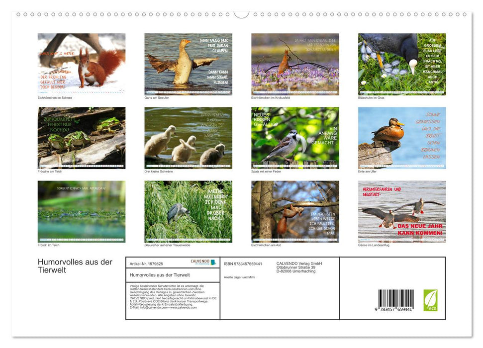Humorvolles aus der Tierwelt (CALVENDO Premium Wandkalender 2026)
