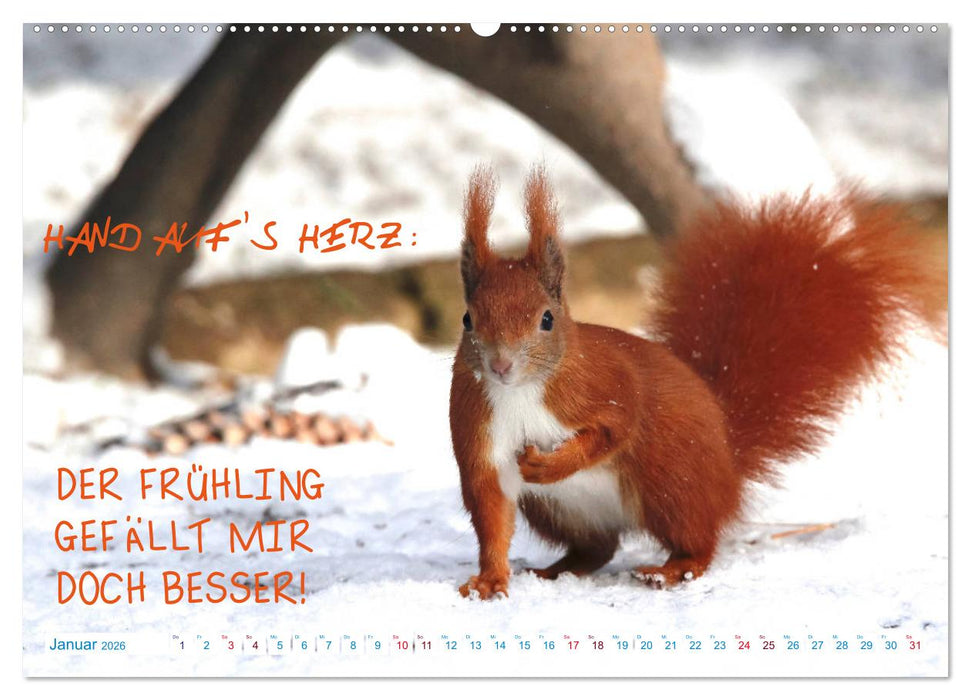 Humorvolles aus der Tierwelt (CALVENDO Premium Wandkalender 2026)